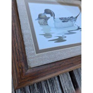 Pair Unsigned Ducks Canada Geese Print